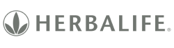 logo img